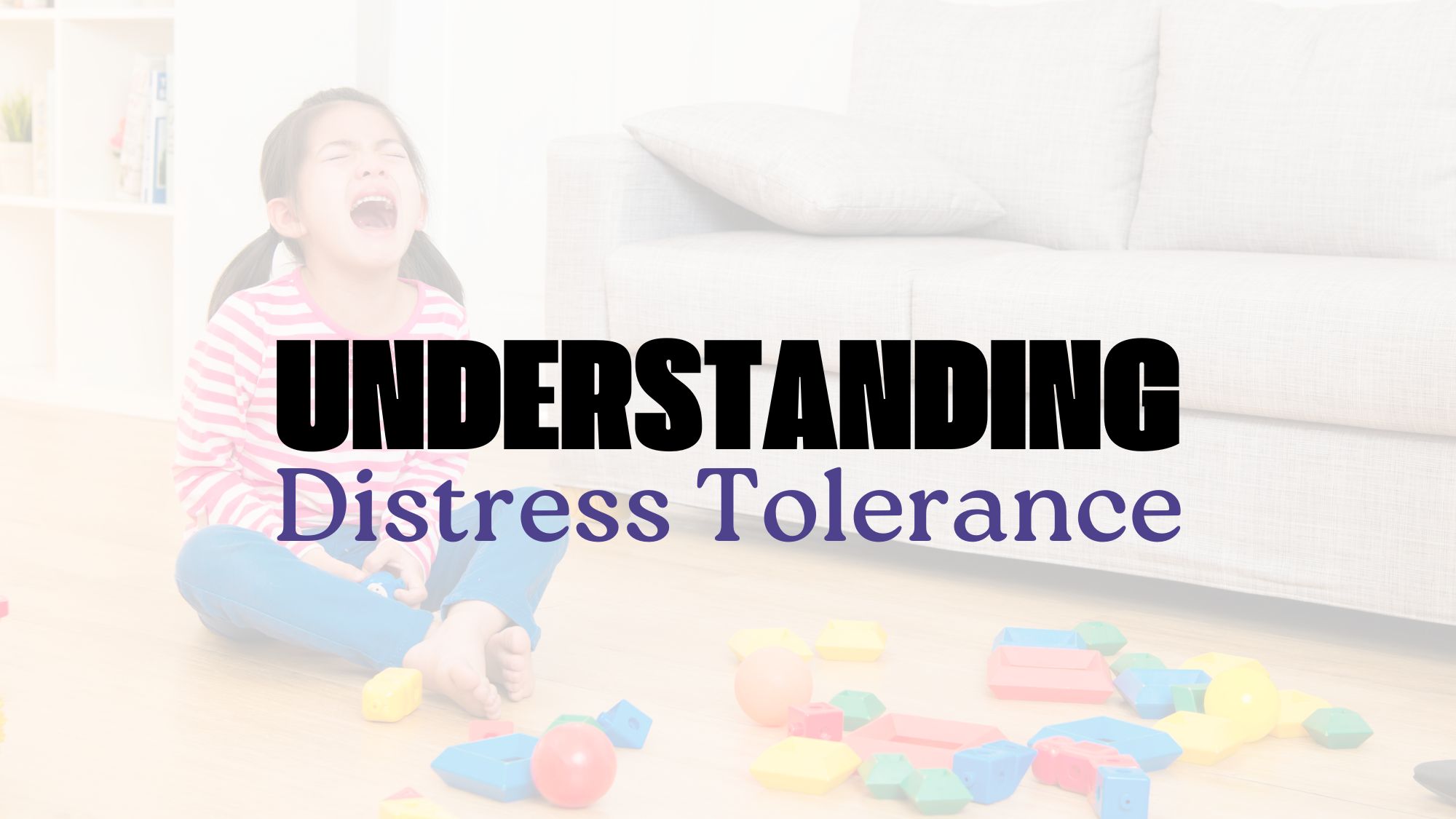 Understanding Distress Tolerance Wait No More